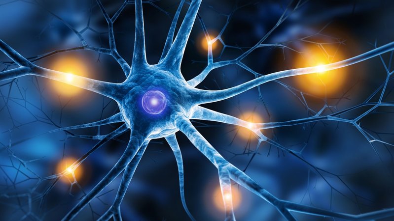 Grafische Abbildung einer Nervenzelle | Bild: stock.adobe.com/peterschreiber.media Grafische Abbildung einer Nervenzelle
