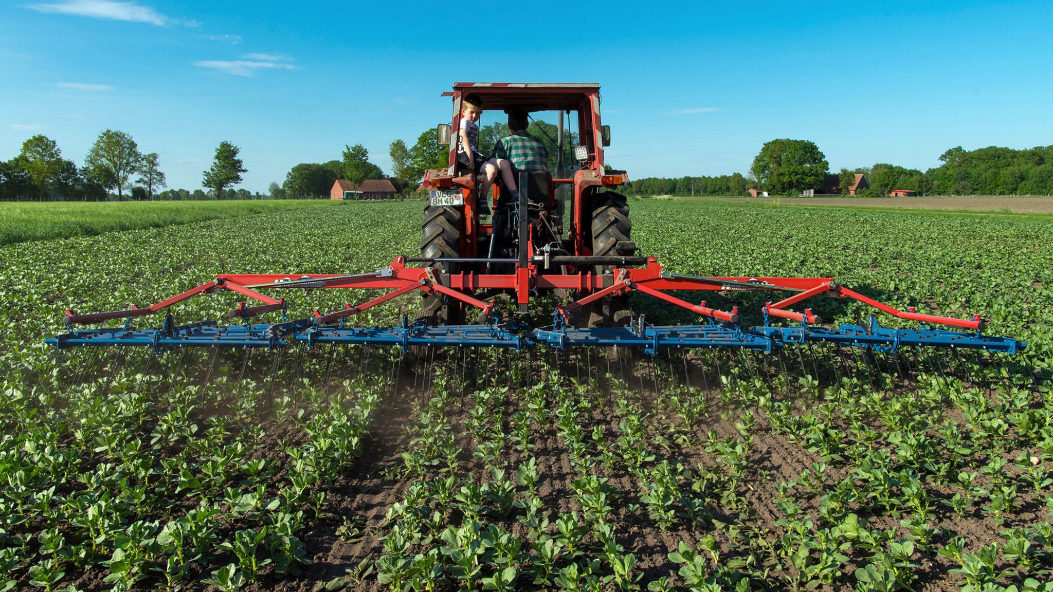 Für die Ökolandwirtschaft fällt eine Förderung weg – und viele Landwirte ärgern sich über die kurze Frist. 