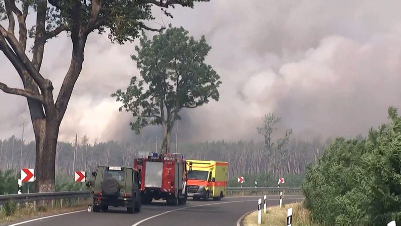 Die Feuerwehr bekämpft zwei große Waldbrände in Brandenburg.  