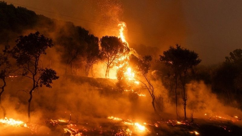 22.08.2023, Griechenland, Dikela: Flammen schlagen aus einem Wald im Dorf Dikela in der Nähe der Stadt Alexandroupolis in der nordöstlichen Region Evros. Immer wieder entflammen im Land neue Brandherde.