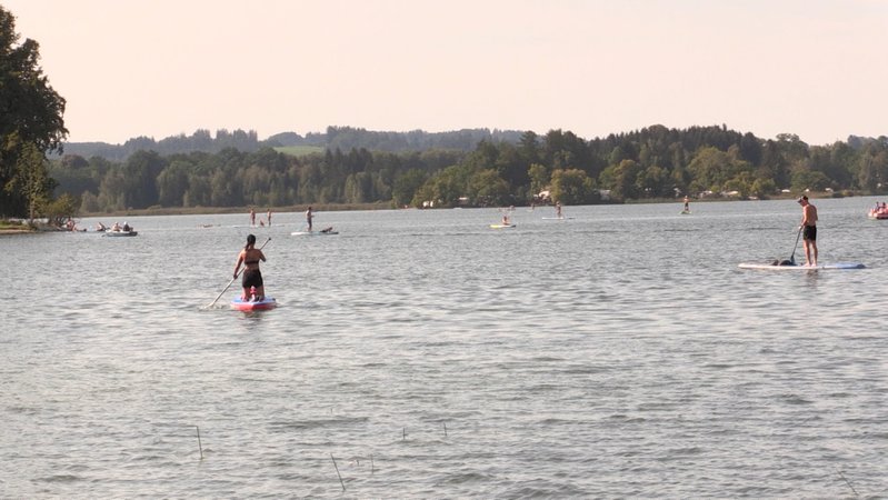 Zu sehen sind diverse Stand-up-Paddler auf dem See. 