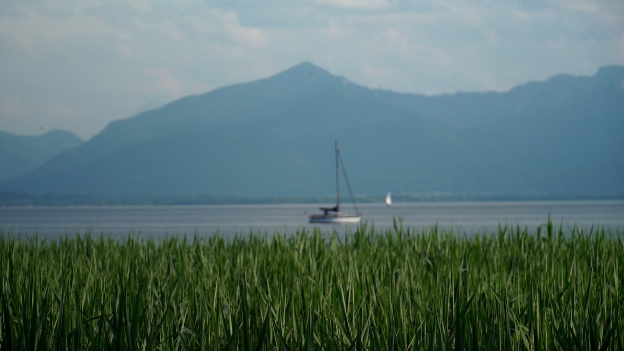 Nach einem verregneten Frühjahr strahlt am Chiemsee jetzt die Sonne. Und mit der Sonne kamen die Mücken - scharenweise. Der Grund: wegen des vielen Regens zu Jahresbeginn konnte kein Mittel zur Bekämpfung der Stechmückenlarven ausgebracht werden.