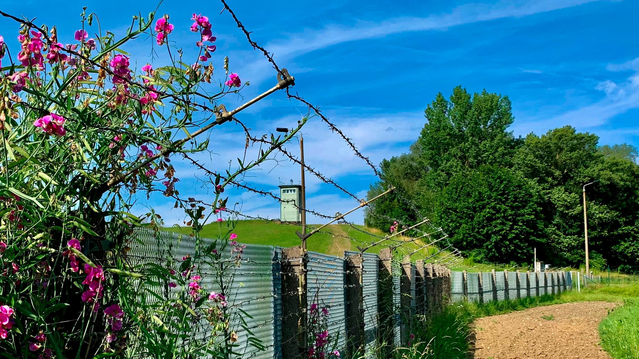 Neues Naturschutzprojekt auf ehemaligem Todesstreifen