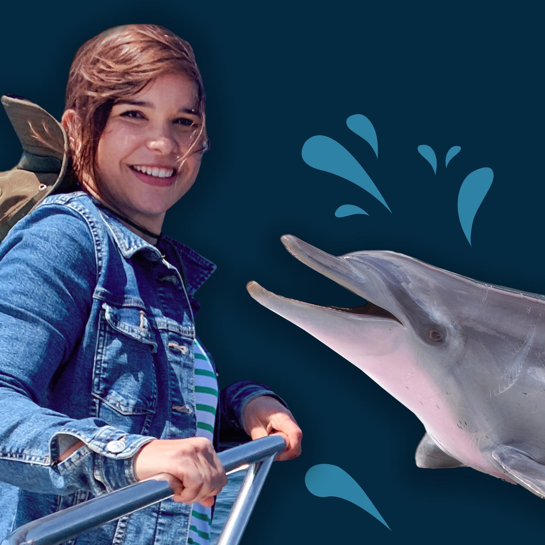 Delfine - Verspielte und kluge Meeressäuger