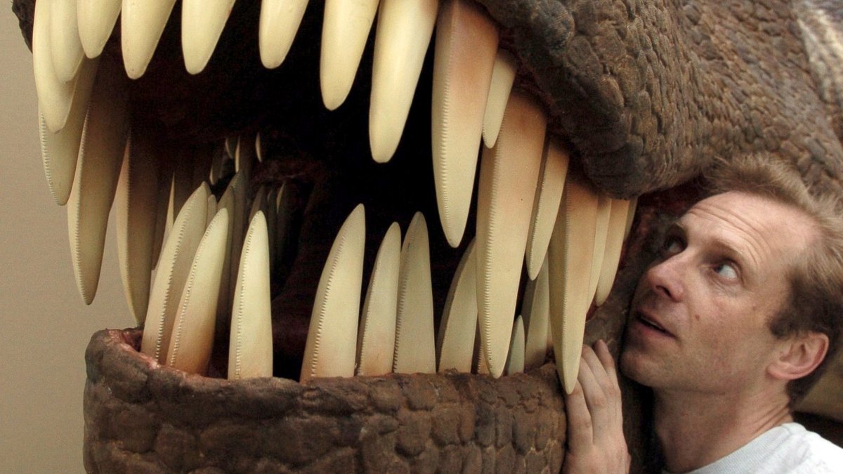 Tyrannosaurus rex - Zahnprobleme gab es nicht