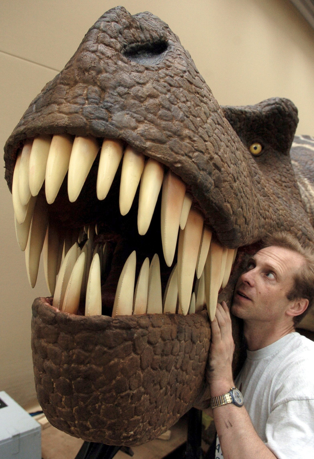 T.rex - ein Maul voller Zähne