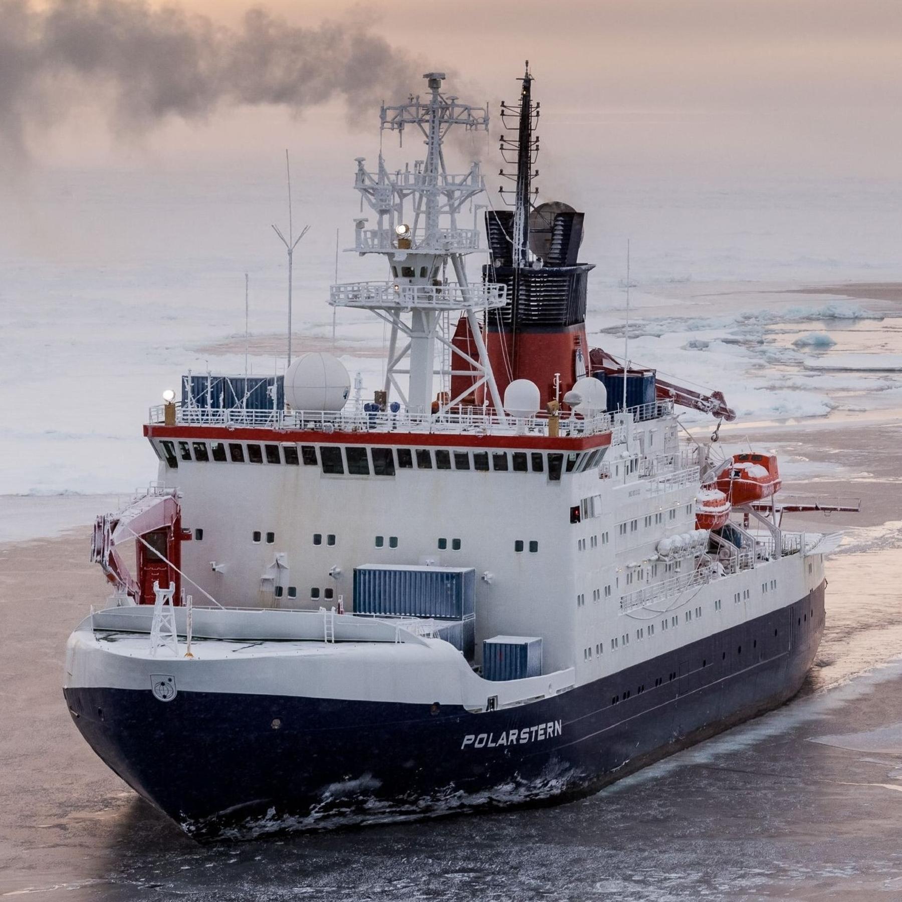 Expedition ins Weddellmer - Polarstern erkundet Hotspot des Lebens