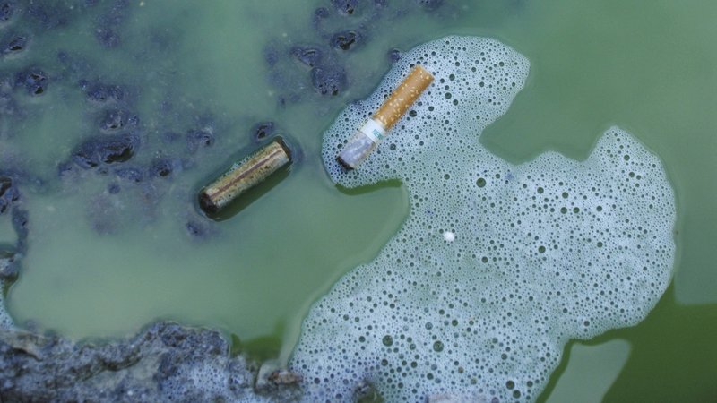 Zigarettenstummel liegen im Wasser | Bild: picture alliance / blickwinkel/G. Vockel | G. Vockel Zigarettenstummel liegen im Wasser