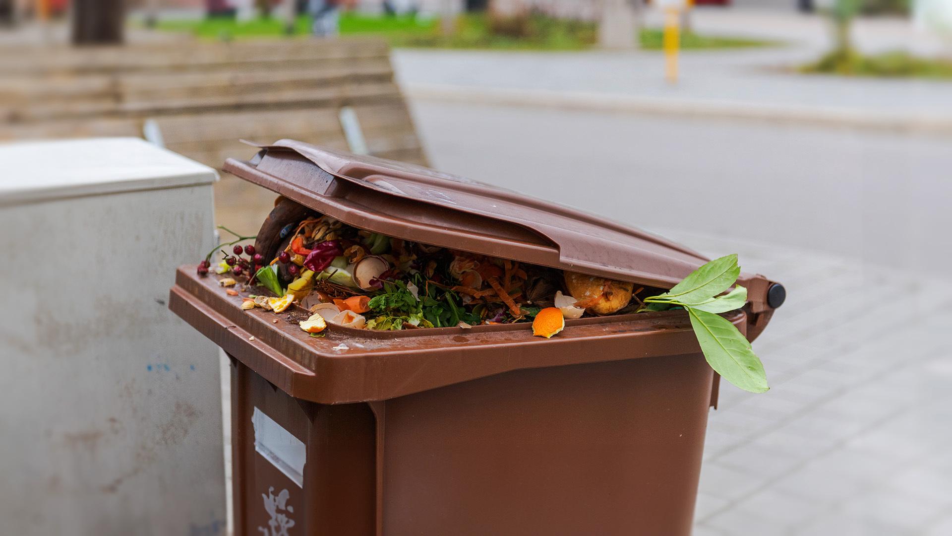 Morgen fällt der Startschuss für eine neue Bioabfallverordnung. Sie will unseren Biomüll grüner machen - und verschärft deshalb die Regeln. 