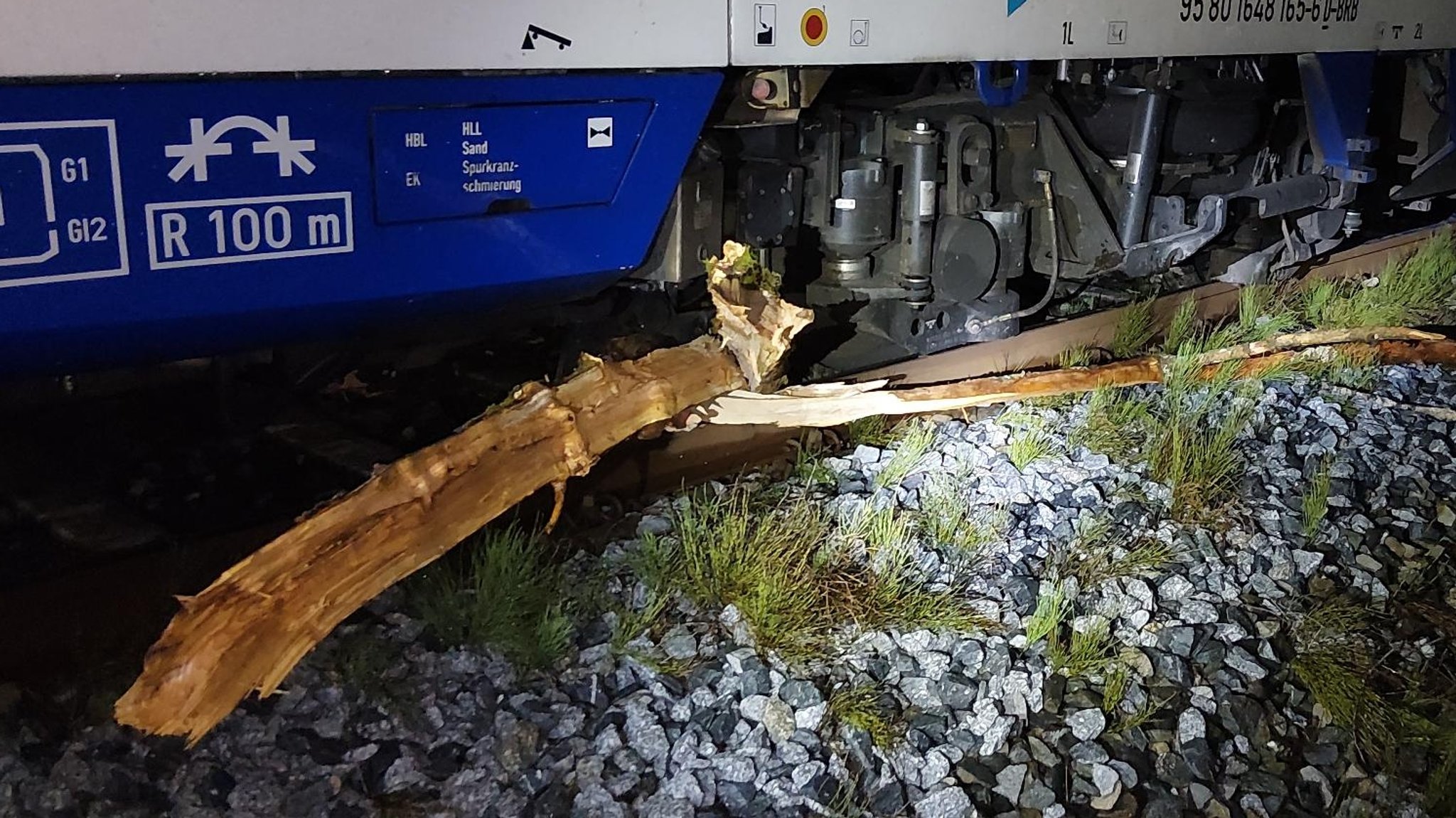 Zug fährt gegen umgestürzten Baum – 500.000 Euro Schaden 