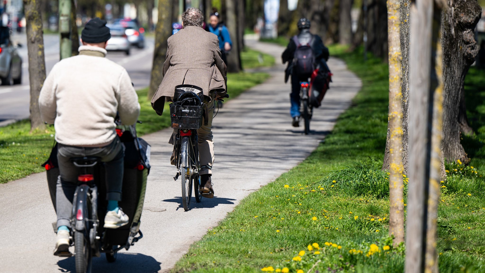 Fahrradfahrer radeln auf einem Radweg durch eine Allee