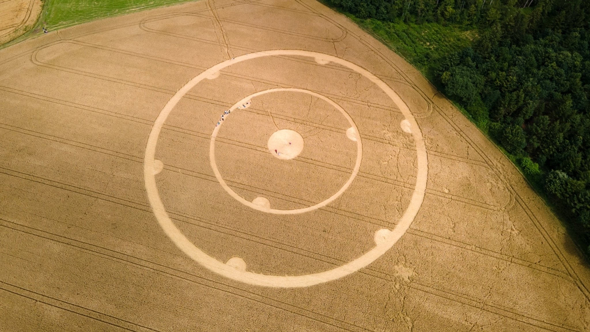 Kornkreise: Naturphänomen, Mythos oder Menschenwerk?