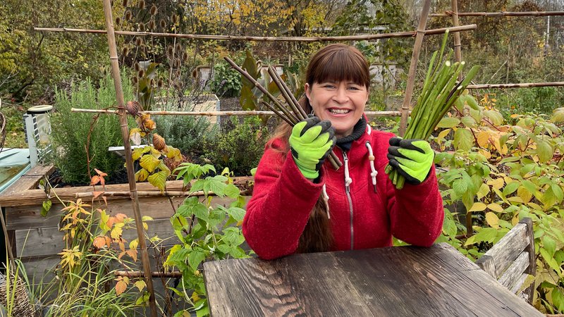 Sabrina Nitsche steht im Querbeet-Garten an einem Tisch mit Steckhölzern in der Hand. | Bild: BR / Tobias Bode Sabrina Nitsche steht im Querbeet-Garten an einem Tisch mit Steckhölzern in der Hand.