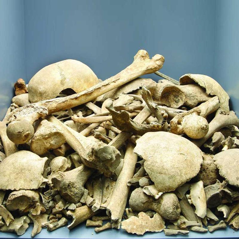 Wie Lange Darf Eine Leiche Im Kühlhaus Liegen Leichen im Keller: Vom heutigen Umgang mit "Human Remains" - Zeit für