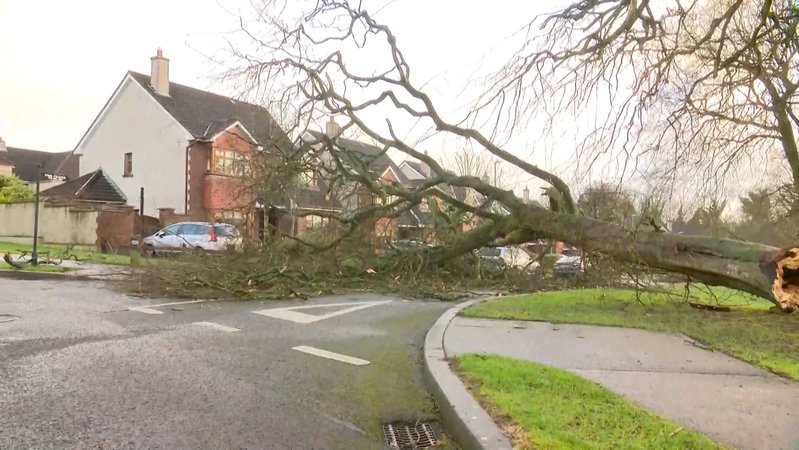 Was Sturm Éowyn in Irland angerichtet hat | Bild: BR Was Sturm Éowyn in Irland angerichtet hat