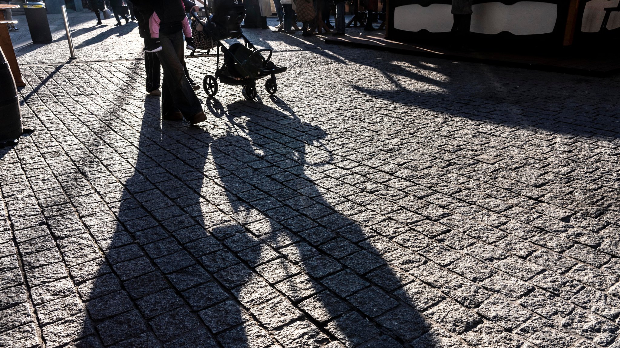 Rottweiler attackiert Kinderwagen – Mutter geht dazwischen