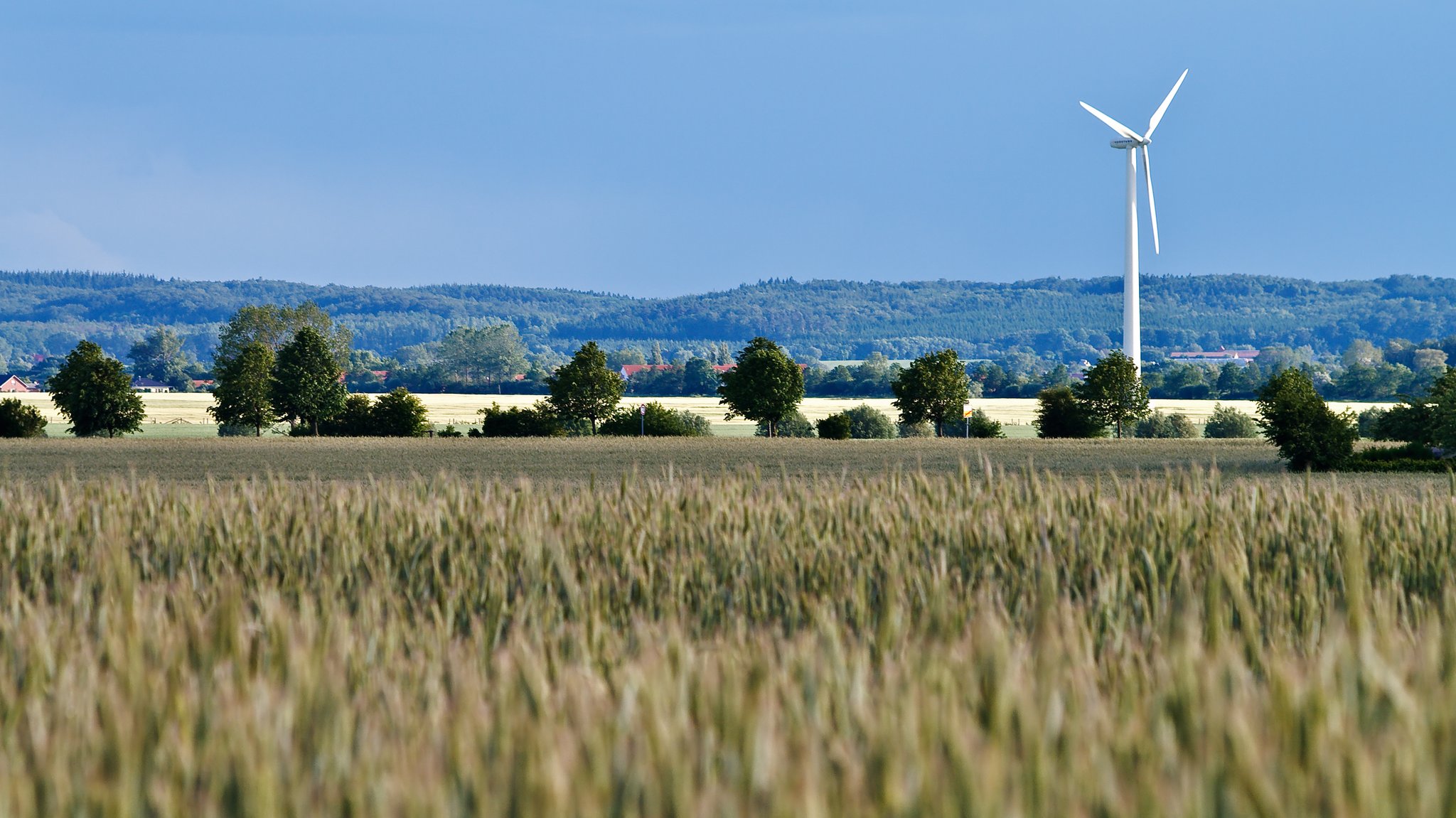 Ein Windrad steht in einer hügeligen Landschaft.