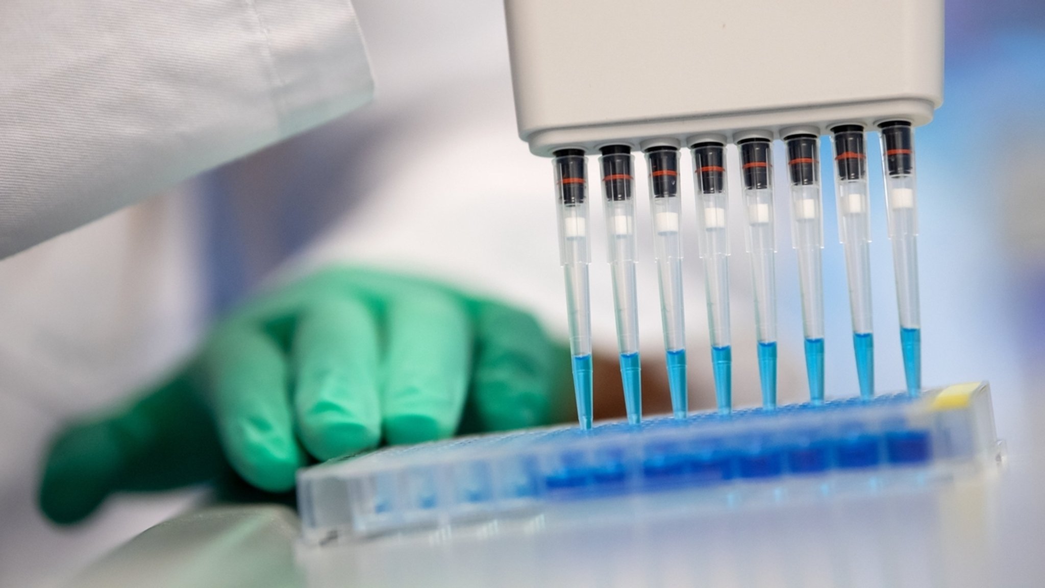 Coronavirus - Corona-Bluttests in München