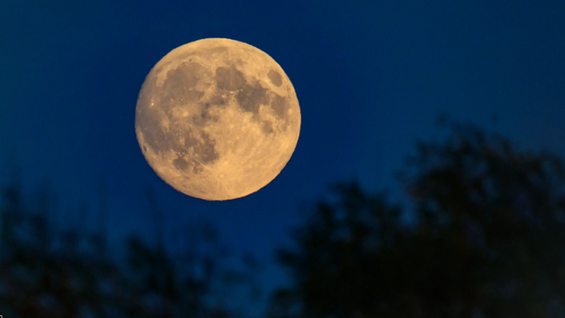 Bayerischer Rundfunk 2024 | Bild: BR.de Bayerischer Rundfunk 2024