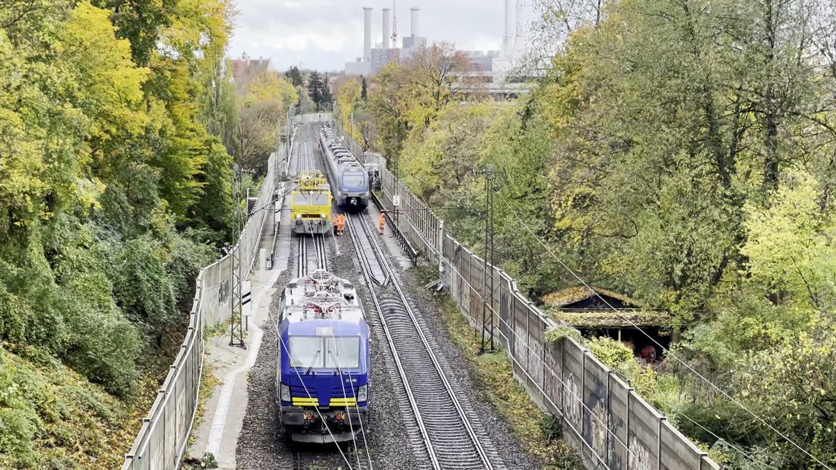 München: Baum umgestürzt – Regionalbahn prallt gegen Äste