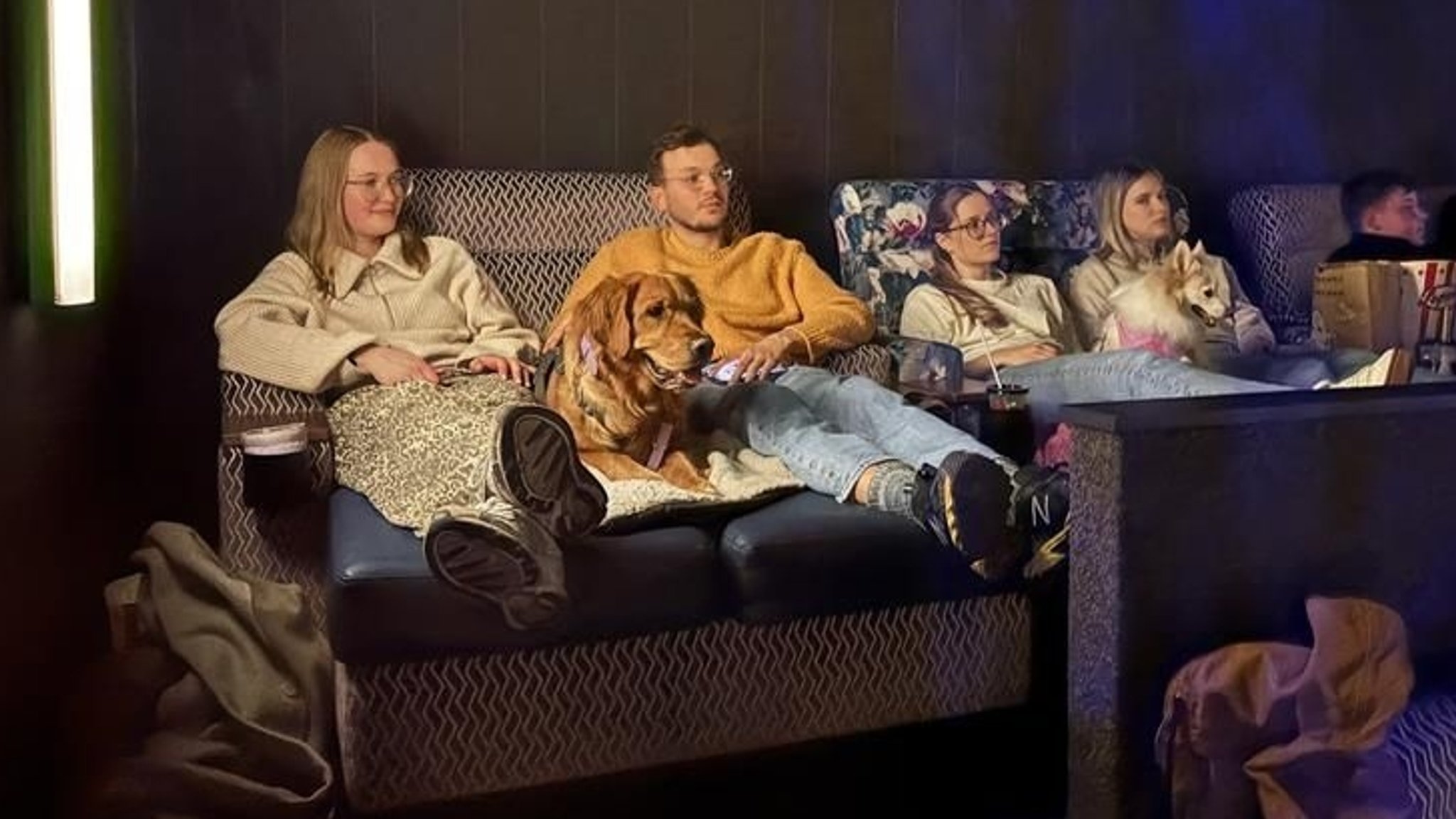 Hunde sitzen mit ihren Frauchen und Herrchen in Kinosesseln. 