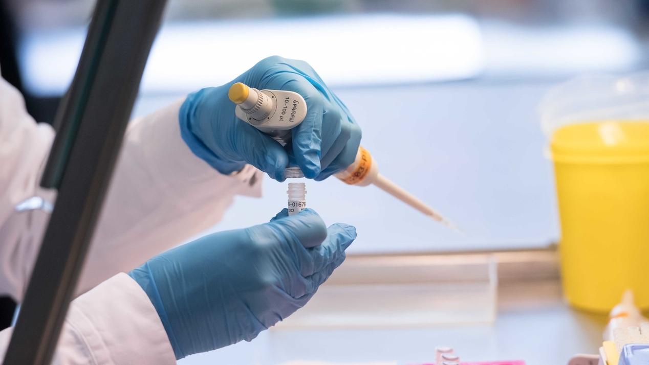 Faktenfuchs Warum Ein Dna Abgleich Dauern Kann Br24 Faktenfuchs Warum Ein Dna Abgleich Dauern Kann Br24