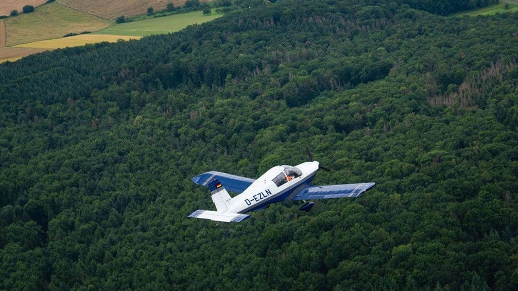 Ein Beobachtungsflug fliegt über einen Wald.