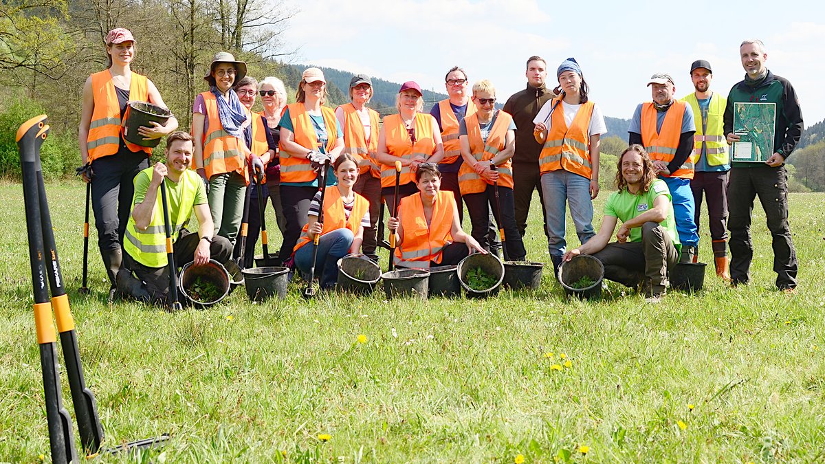 Das Team vom Bergwaldprojekt zusammen mit den Naturparklern im Sinngrund.