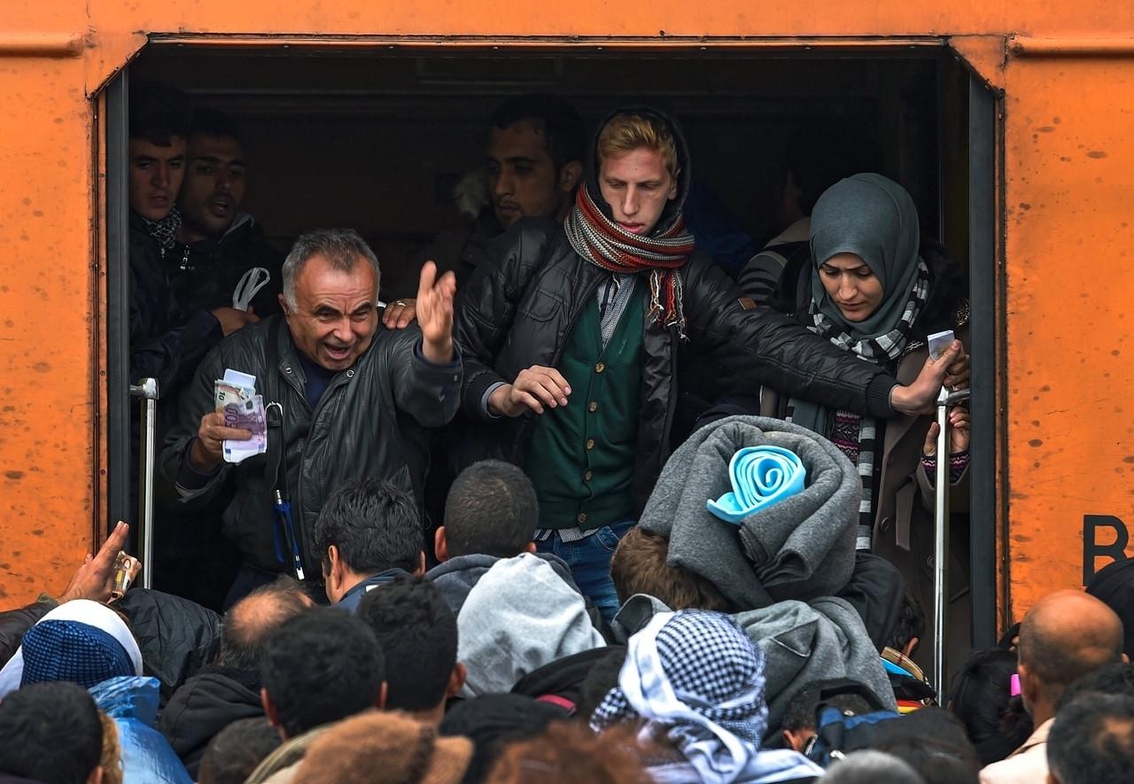 nachrichtenbayerntopthema merkel und Adidas Training Jacke Türkei, Türkiye gr 4244 in Berlin