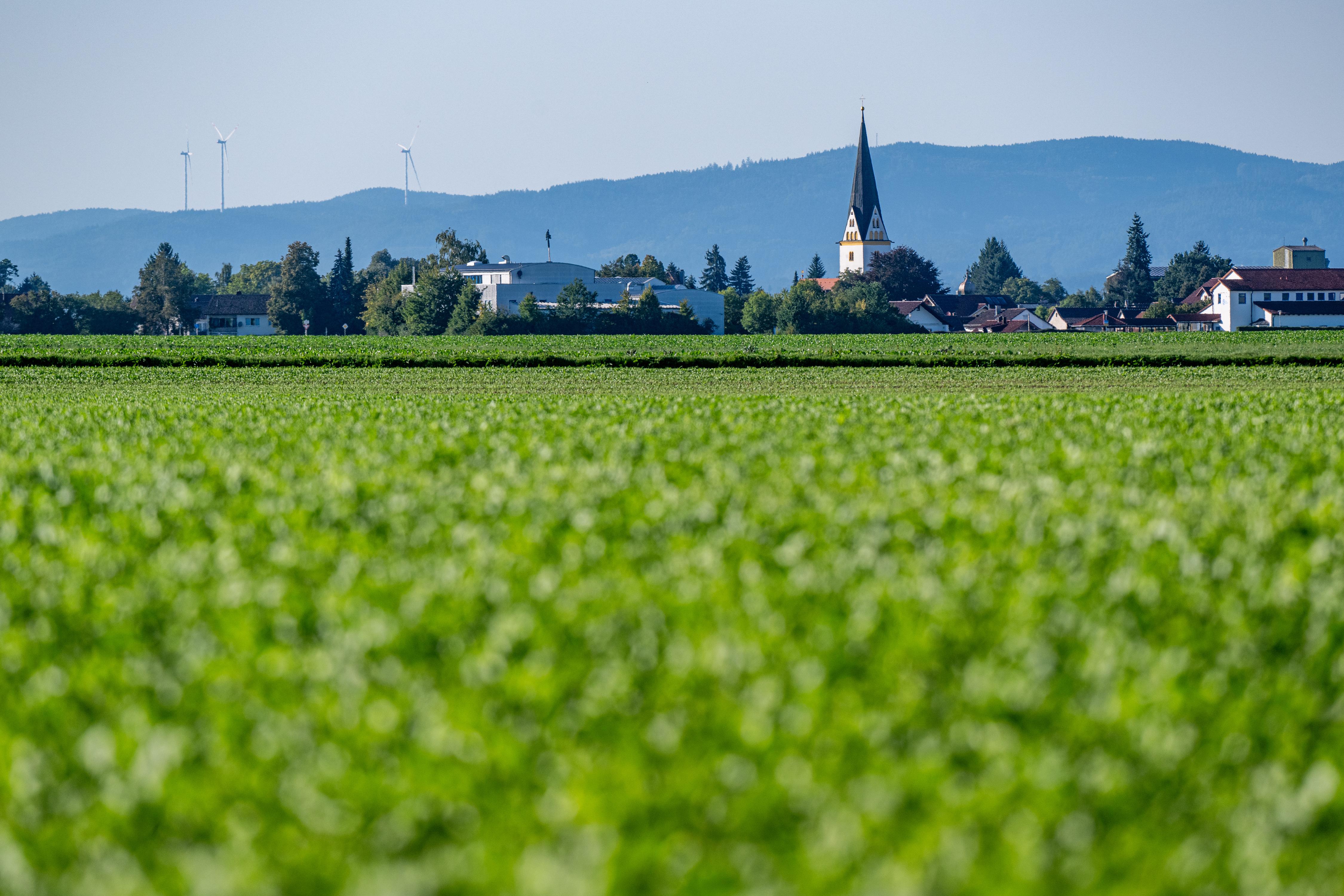 Ein Feld zwischen Irlbach und Straßkirchen