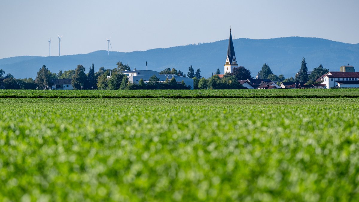 Ein Feld zwischen Irlbach und Straßkirchen