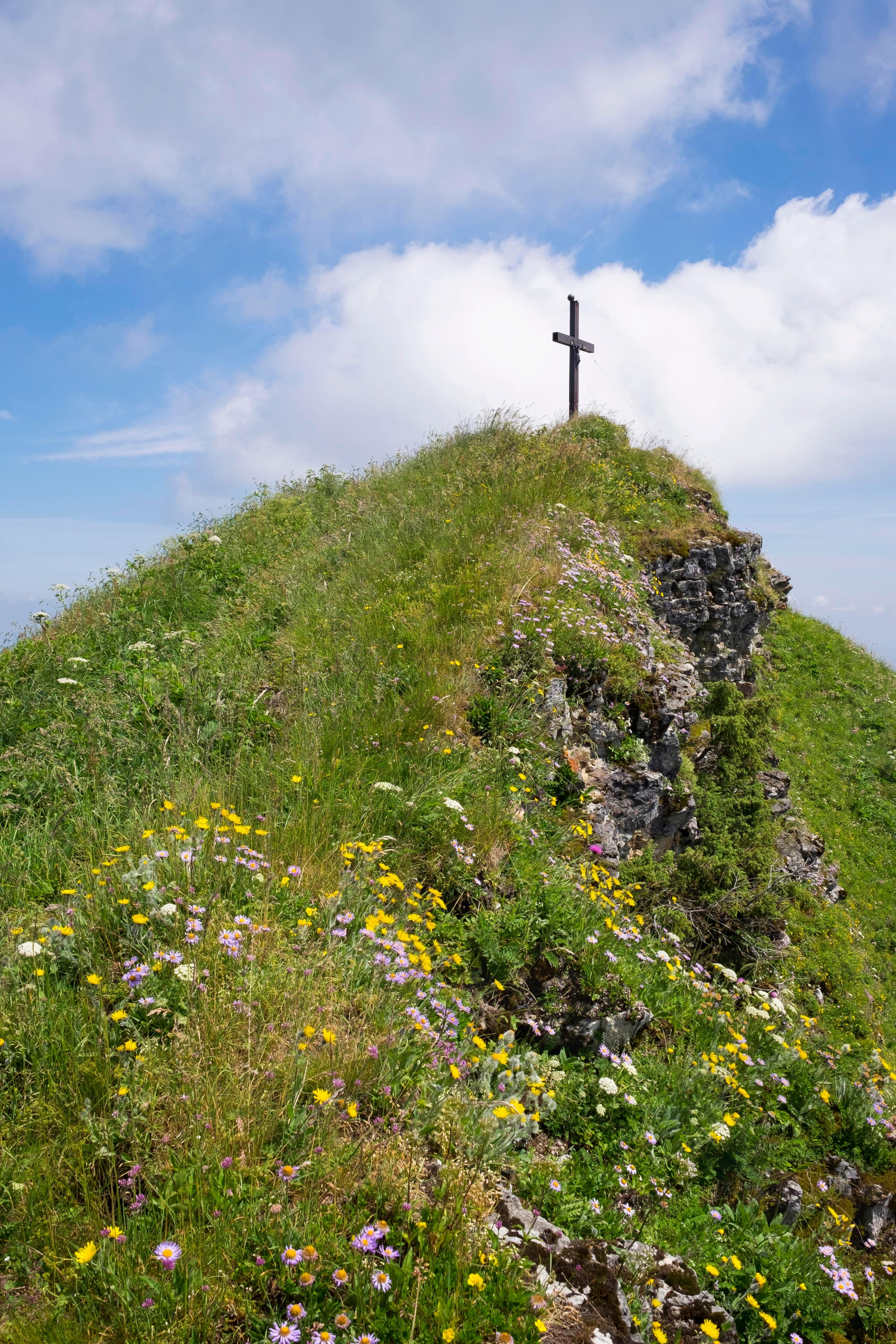 Gipfelkreuz und Bergblumen in den Chiemgauer Alpen (Archivbild)