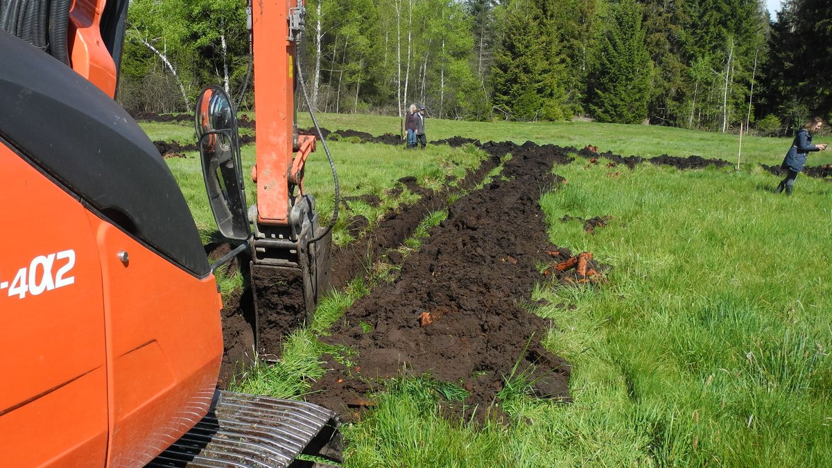 Ein Bagger gräbt einen Graben in eine Wiese. Rechts vom Graben liegt der Aushub mit den Entwässerungsrohren aus Ton.