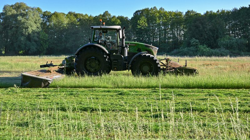 Bevor Landwirte im Frühjahr ihr Grünland mähen, müssen sie die Felder nach dort versteckten Rehkitzen absuchen. | Bild: DPA Bildfunk/Patrick Pleul Bevor Landwirte im Frühjahr ihr Grünland mähen, müssen sie die Felder nach dort versteckten Rehkitzen absuchen.