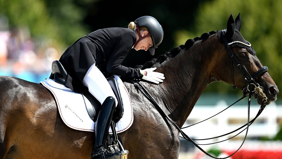 Nachwuchs im Hause Bredow-Werndl: Gold-Pferd Dalera wird Mama