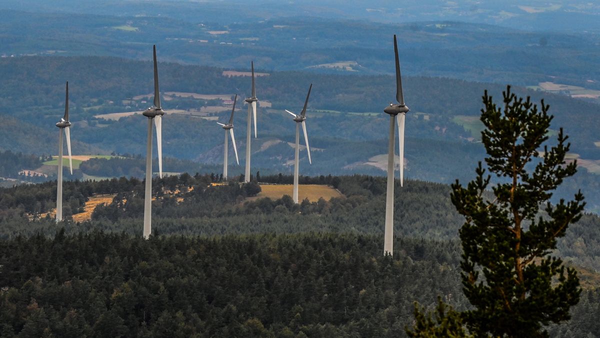 Ein Windpark in einem Wald in Frankreich