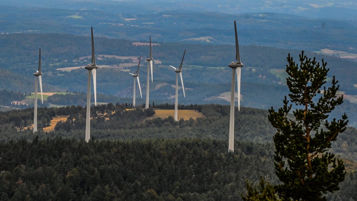 #Faktenfuchs: Weniger Waldrodung für Windräder als behauptet