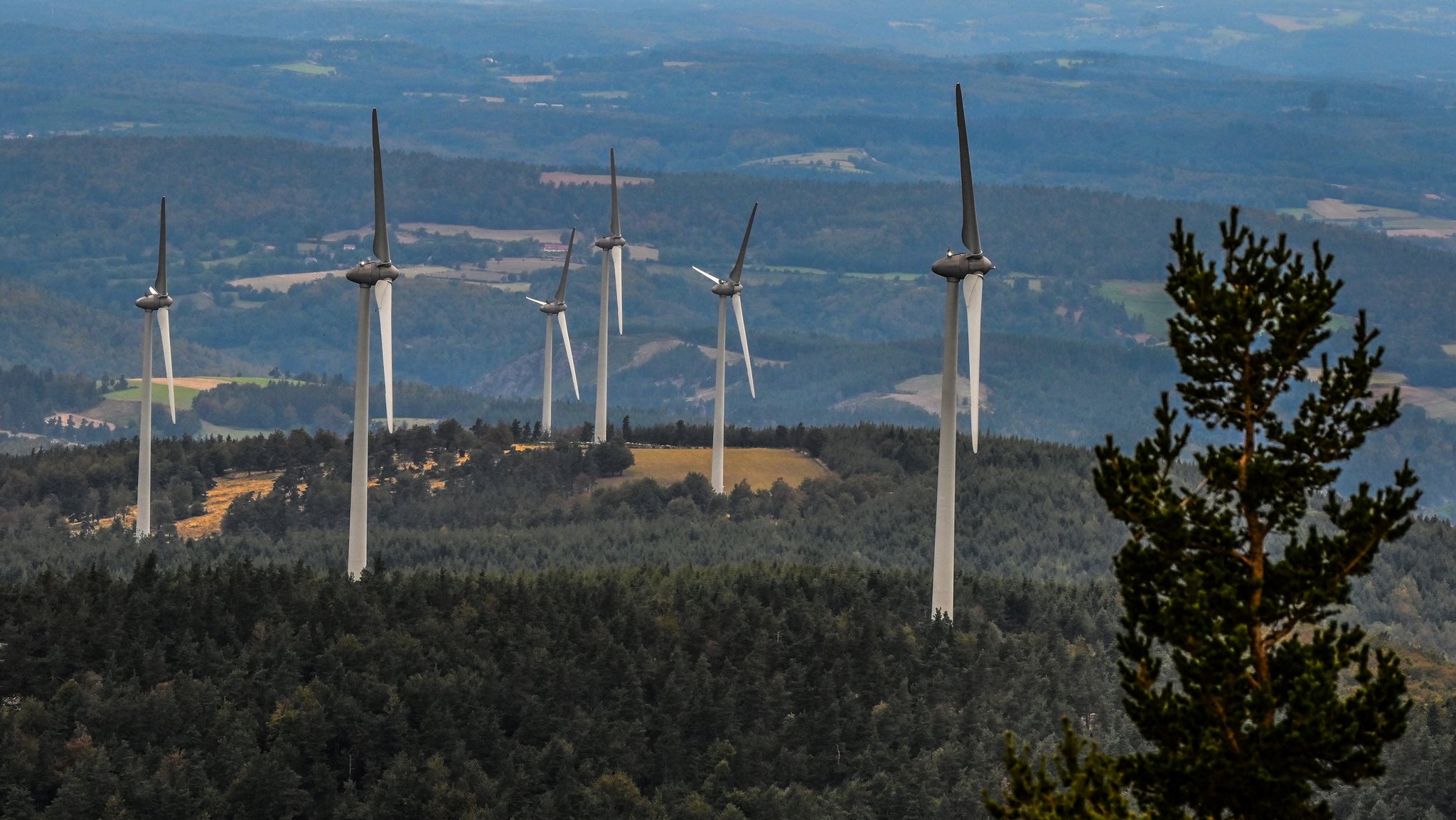 Ein Windpark in einem Wald in Frankreich