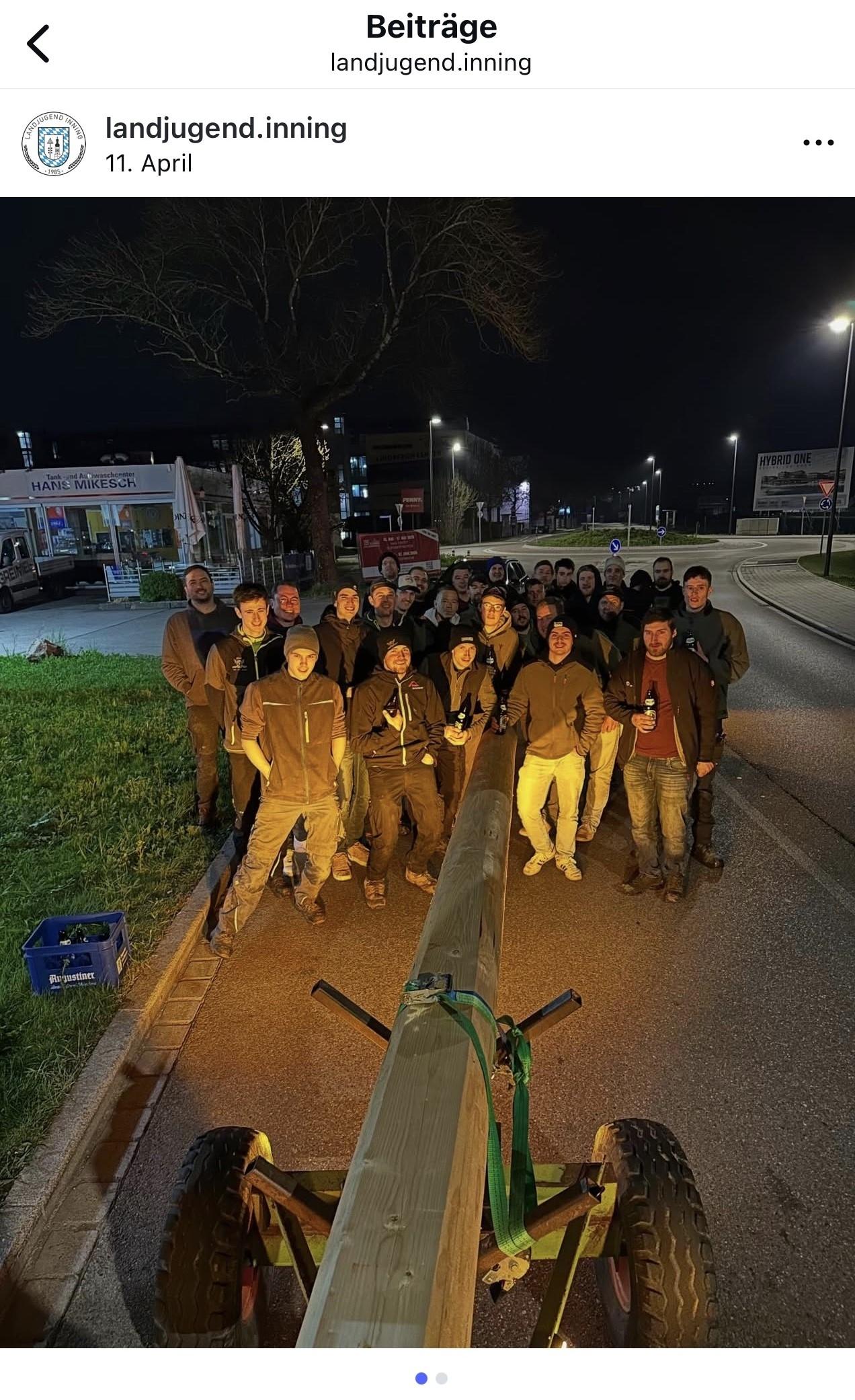 Junge Burschen stehen vor einem Maibaum, den sie gerade gestohlen haben. 