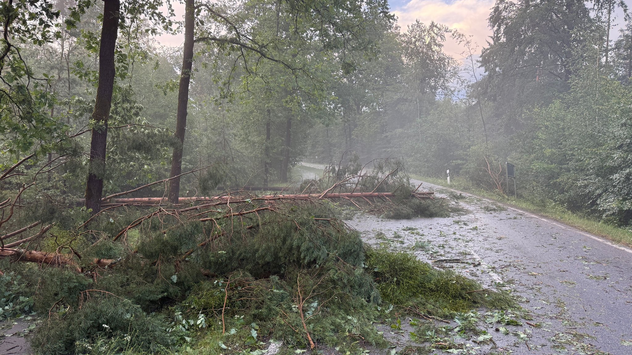 Entwurzelte Bäume und Äste liegen nach einem Gewitter auf einer Straße bei Erlangen. | Bild: dpa-Bildfunk/News5 / Ferdinand Merzbach Entwurzelte Bäume und Äste liegen nach einem Gewitter auf einer Straße bei Erlangen.
