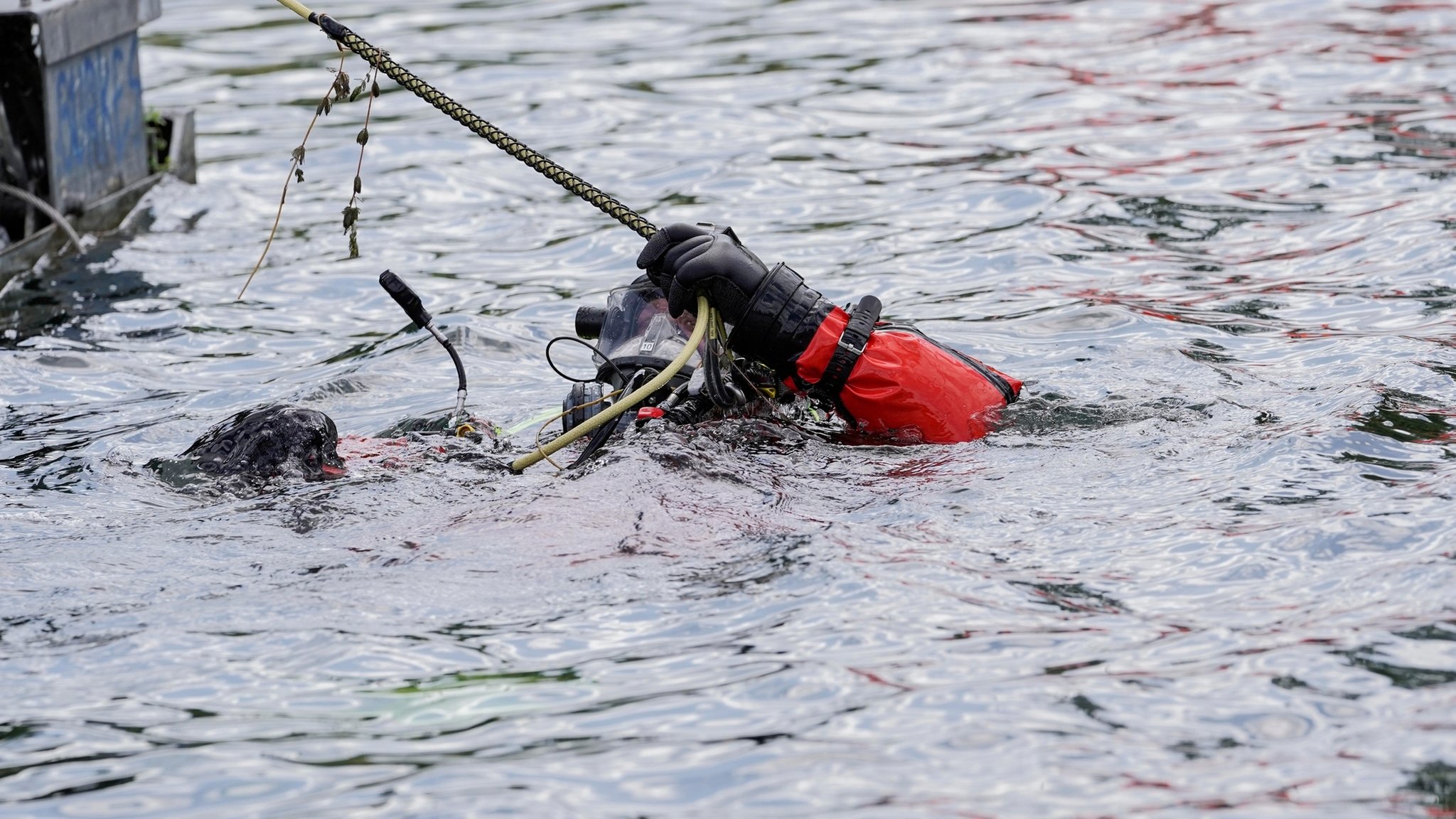 Erfolglose Suche: 80-jähriger Schwimmer im Jägersee vermisst