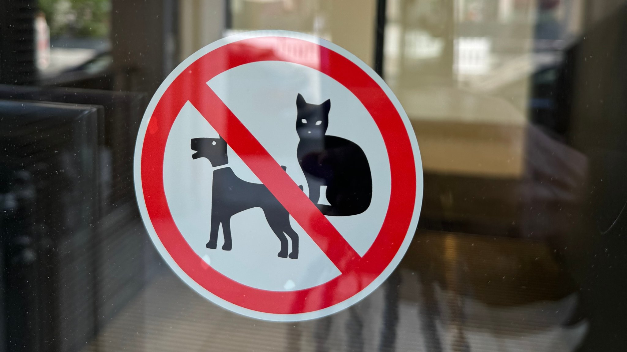 Kein Zutritt für Hunde und Katzen. Dieses Schild klebt am Eingang der IHK für München und Oberbayern.