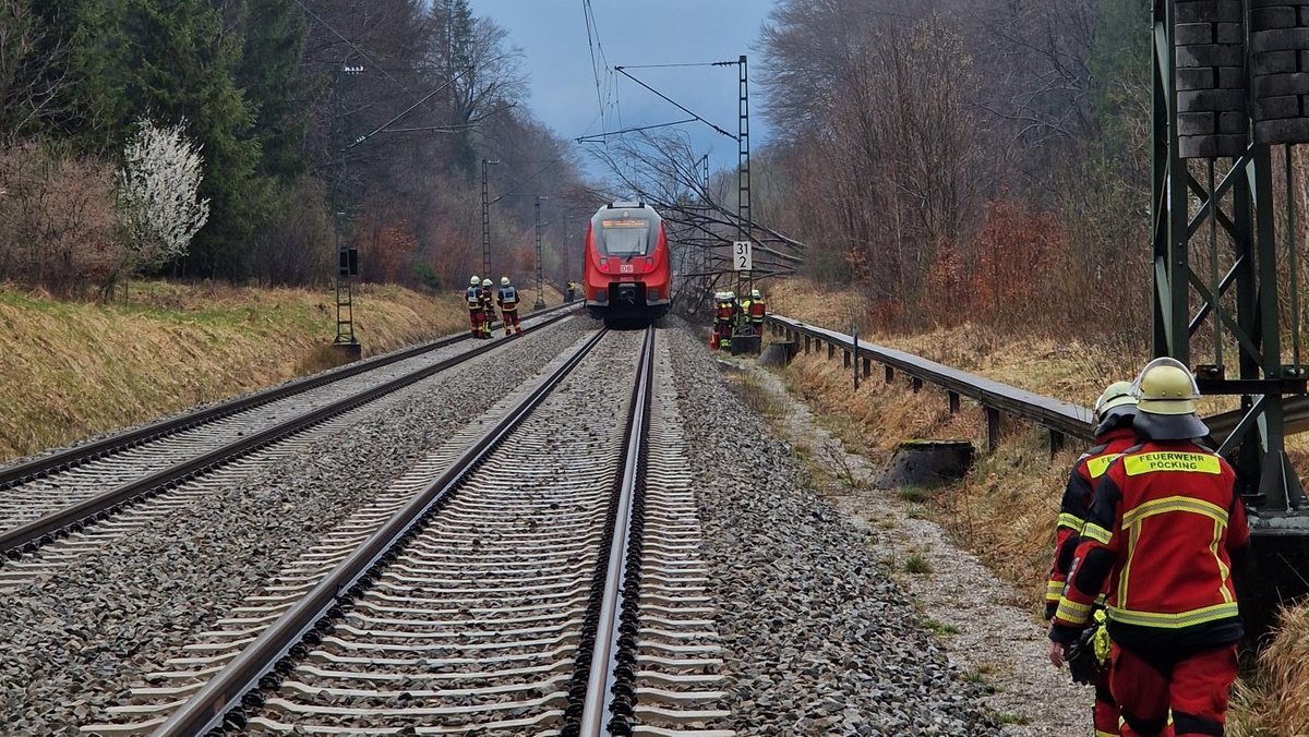 Baum auf Bahngleisen – 250 Personen aus Zug evakuiert