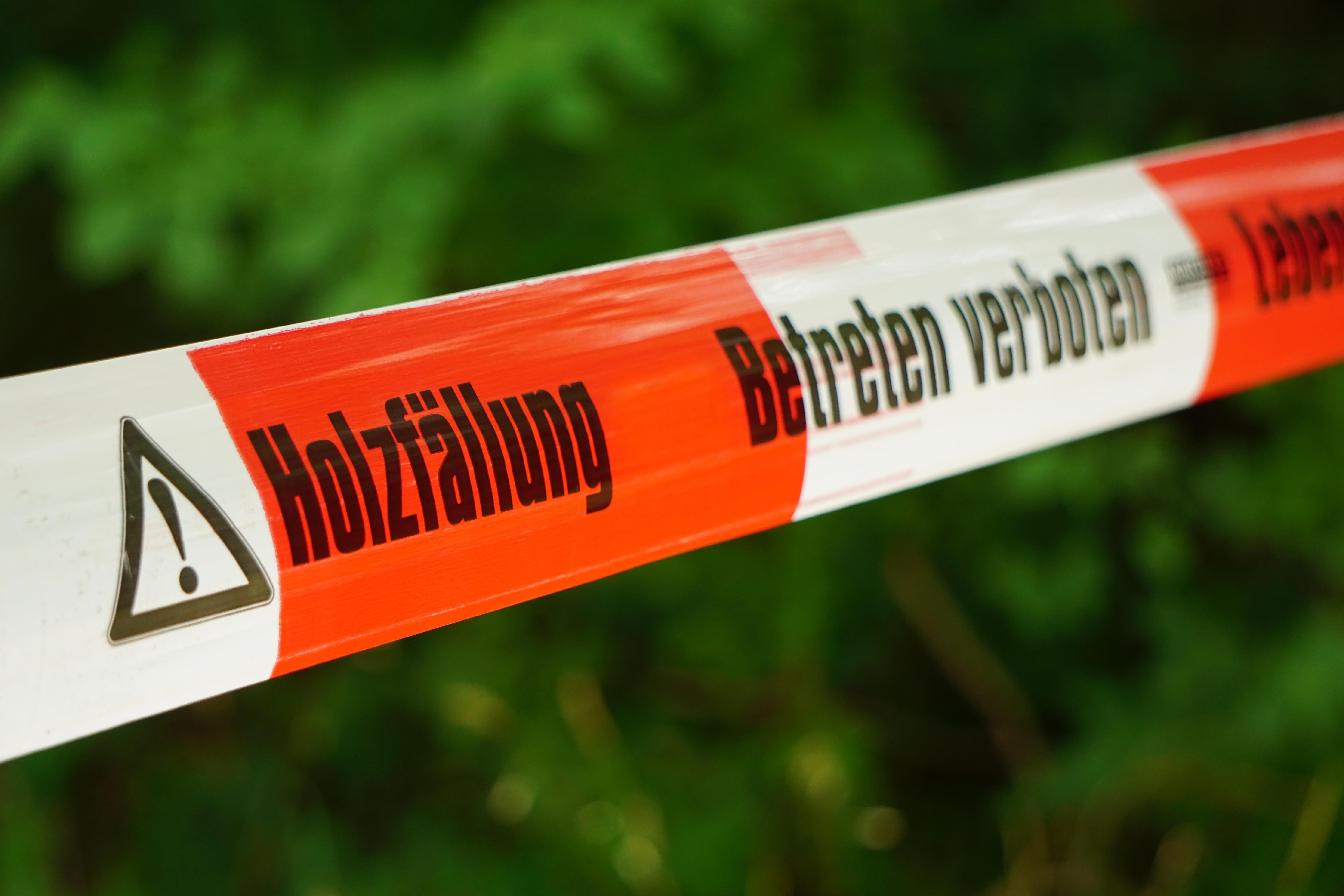 Rot-weißes Absperrband auf dem u.a. "Holzfällung" und "Betreten verboten" steht.