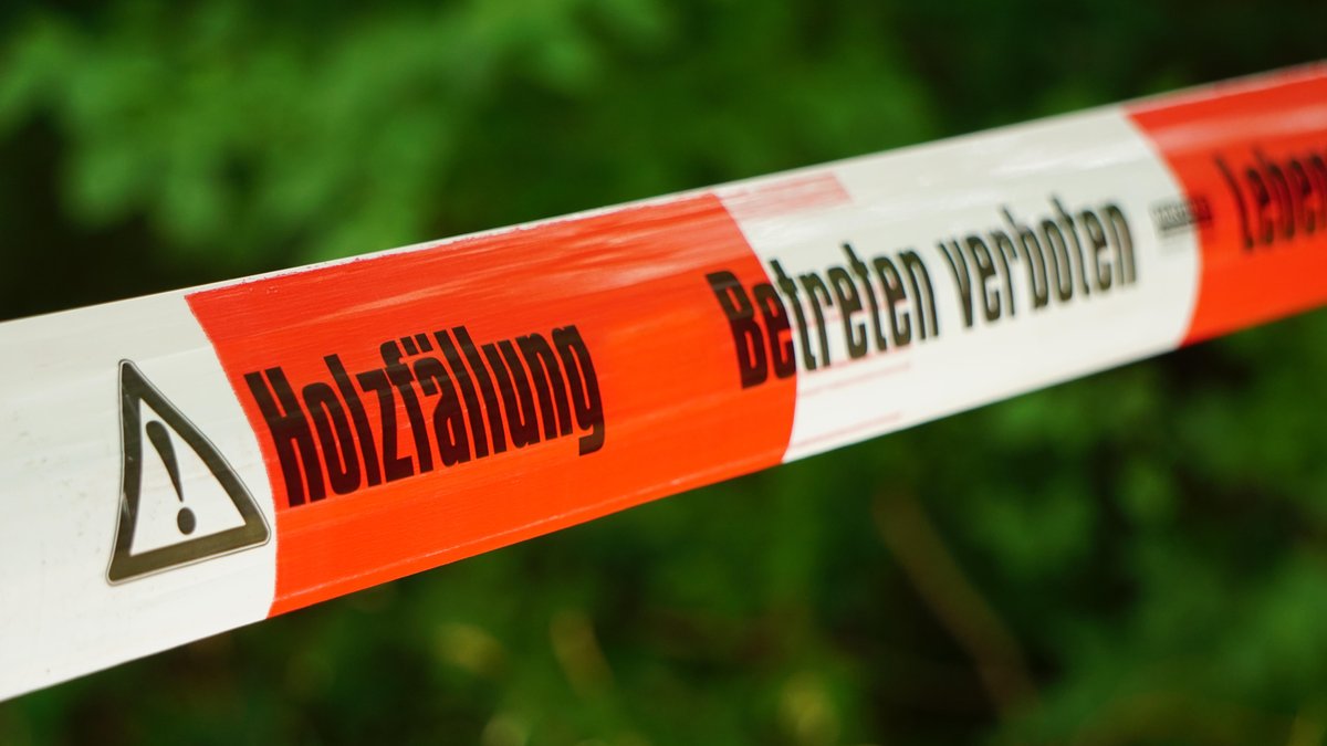 23-Jähriger bei Waldarbeiten von Baum erschlagen