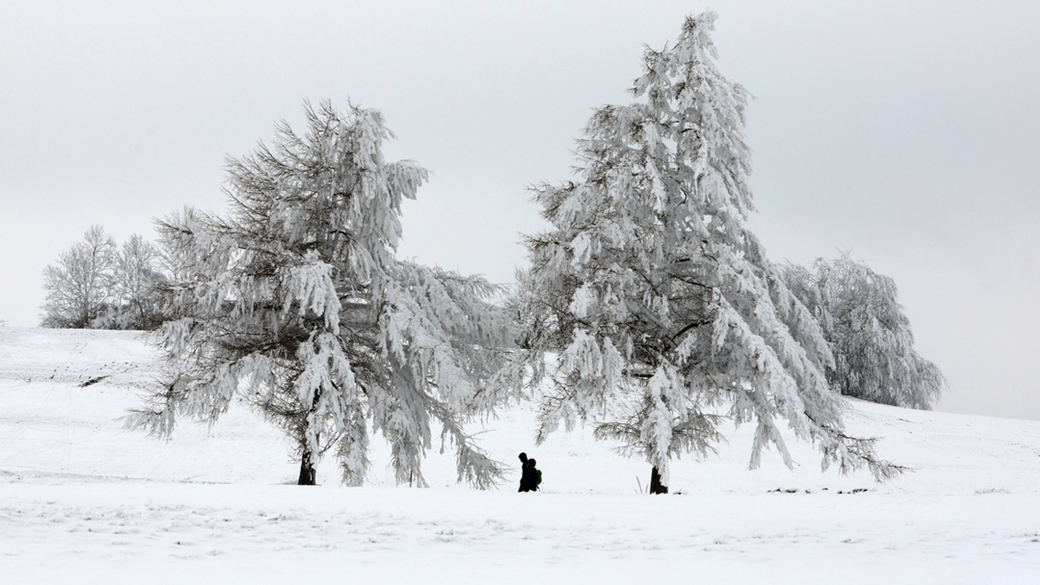 Winterwetter: Schneefront soll Bayern erreichen