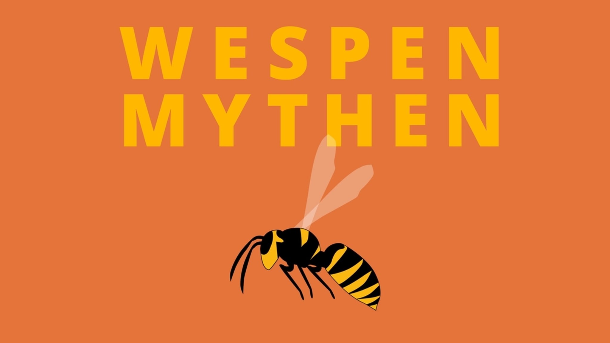 Wespen-Mythen