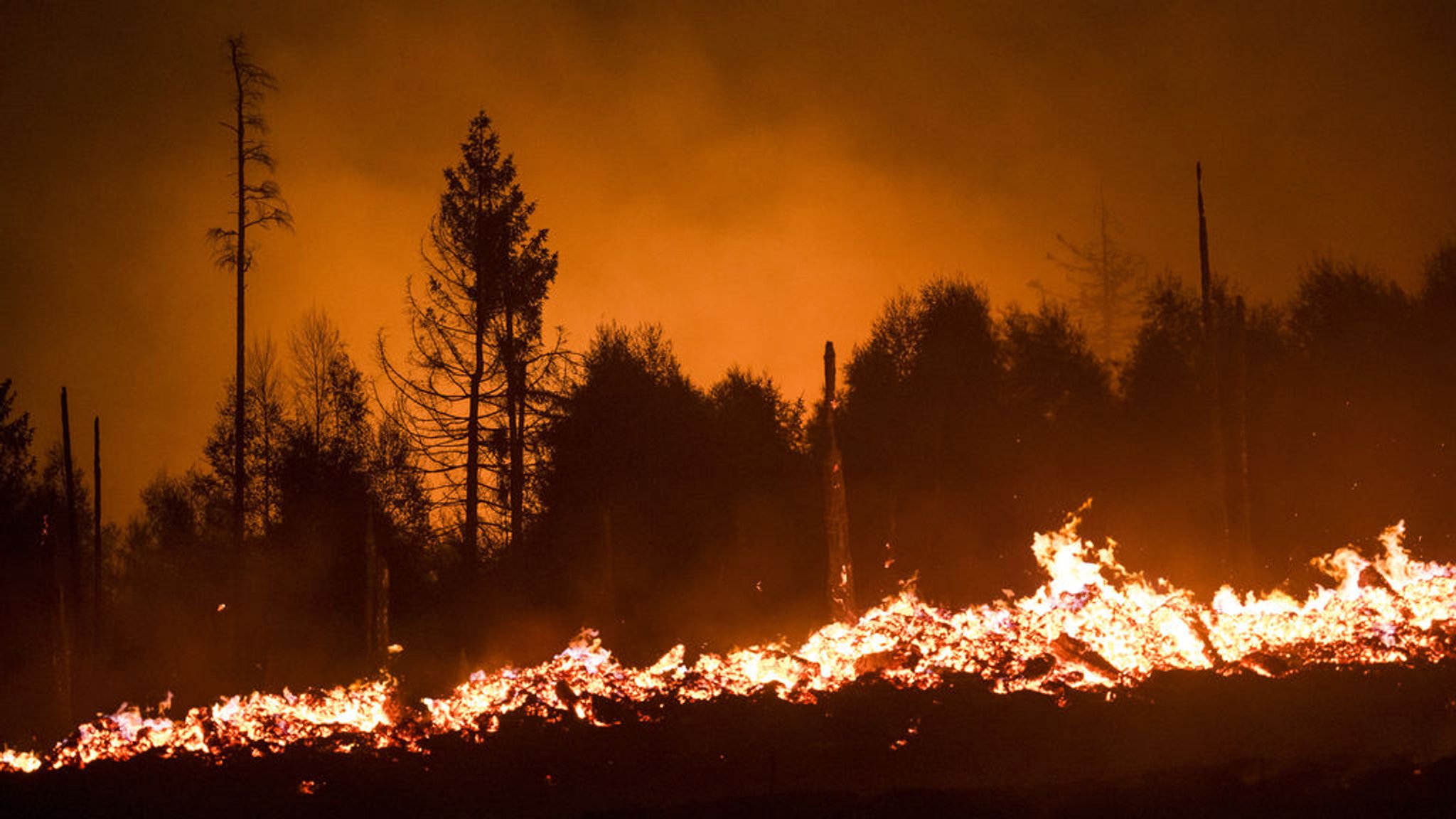 Flammen lodern in einem Waldstück der Saalfelder Höhe. Wegen des Waldbrands im Landkreis Saalfeld-Rudolstadt wurde Katastrophenalarm ausgelöst. Starke Winde hätten ein Feuer am Nachmittag angefacht, sagte ein Sprecher des Landkreises.