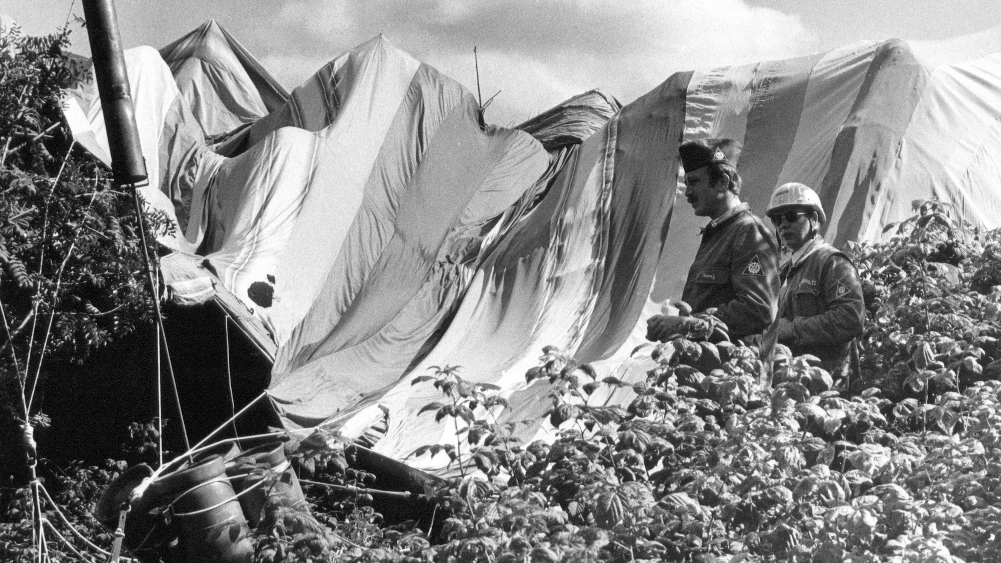 Der Heißluftballon an der Landestelle, aufgenommen am 17.9.1979. Eine tollkühne Flucht ist zwei Familien aus der DDR in der Nacht zum 16.9.1979 geglückt. Die beiden Ehepaare mit ihren vier Kindern im Alter von zwei bis 15 Jahren überquerten die Grenze nach Bayern mit einem selbstgebastelten Heißluftballon. 