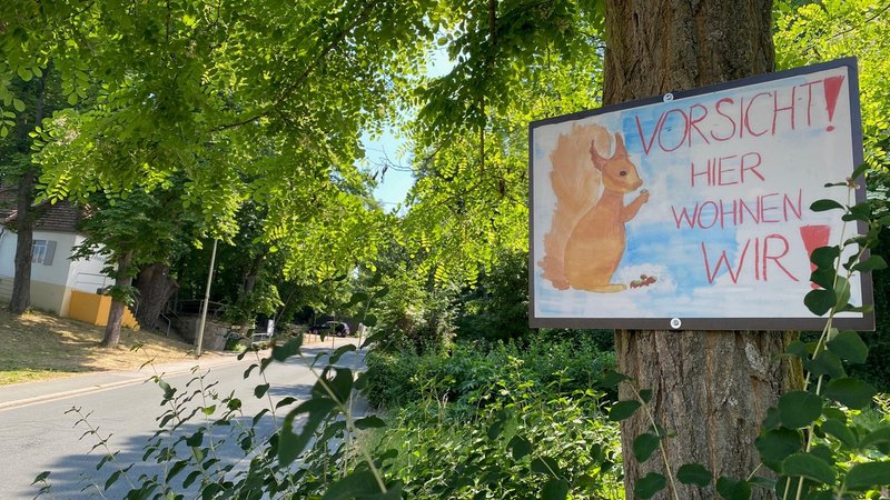 "Vorsicht! Hier wohnen wir", steht auf einem Schild, auf dem ein Eichhörnchen gemalt ist. Das Schild steht an einer Straße. Im Hintergrund ist zu sehen, dass ein Seil darüber gespannt ist. 